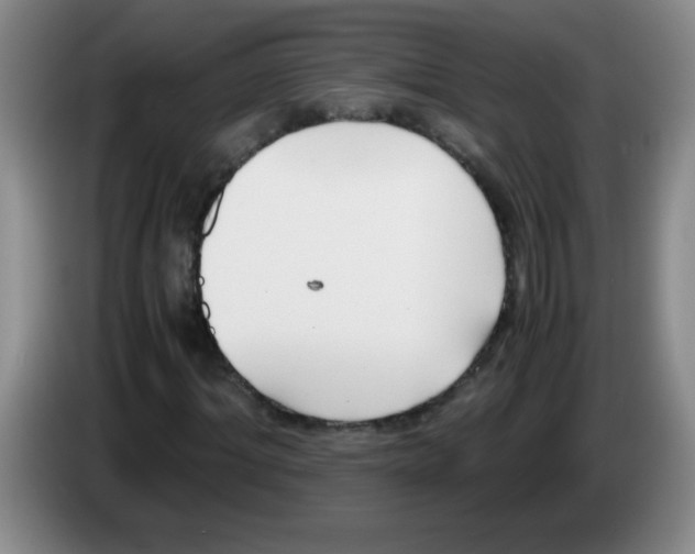 X0000083560964200703091613