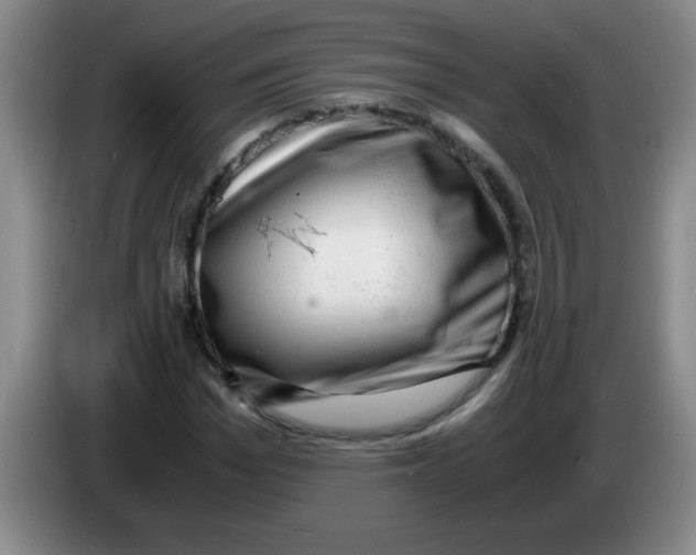 X0000083560969200703091613