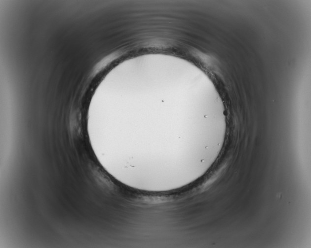 X0000083560970200703091613