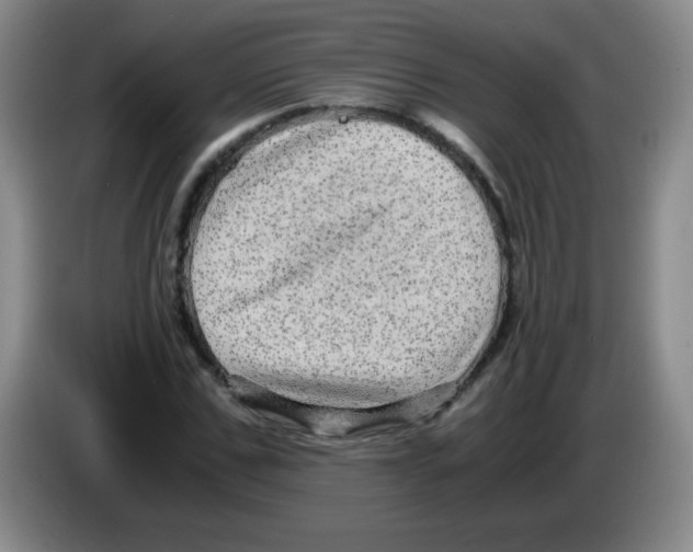 X0000083560971200703091613