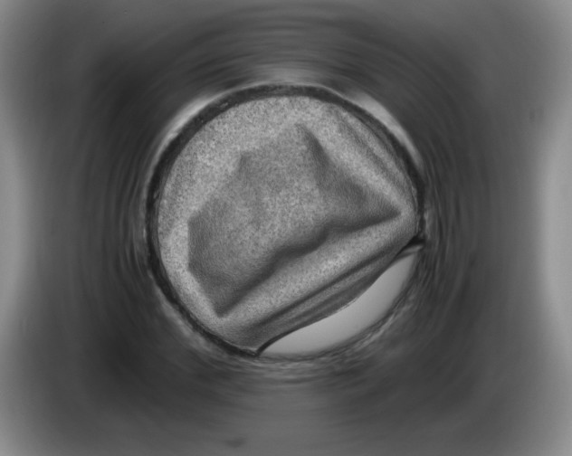 X0000083560972200703091613