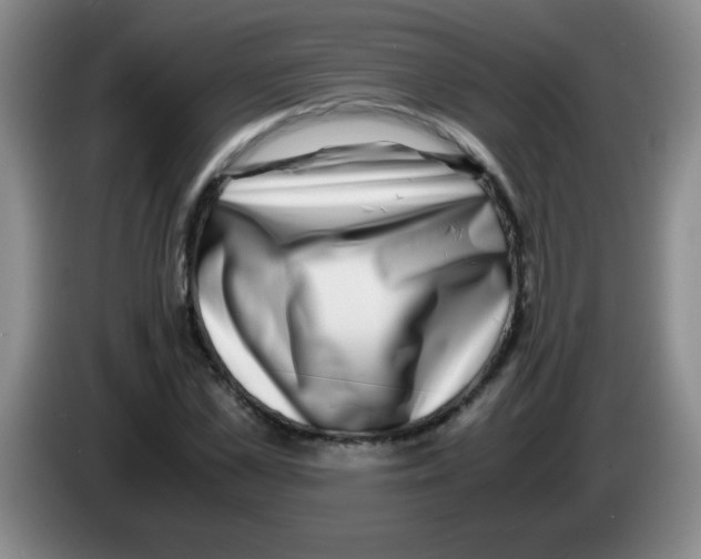 X0000083560973200703091613