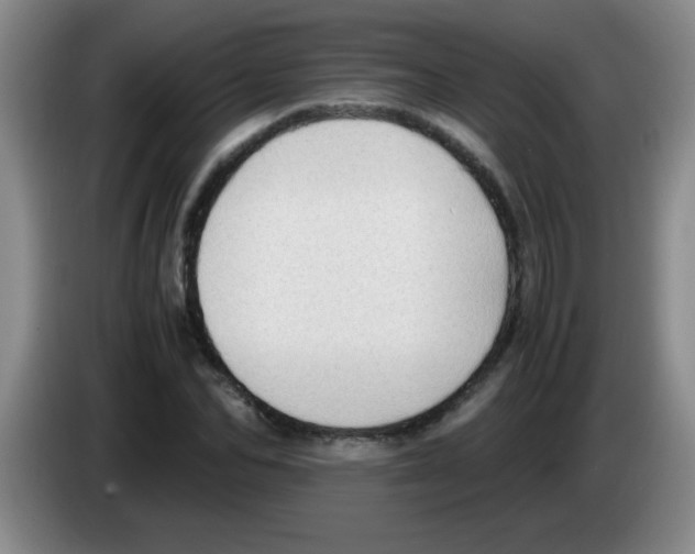 X0000083560974200703091613