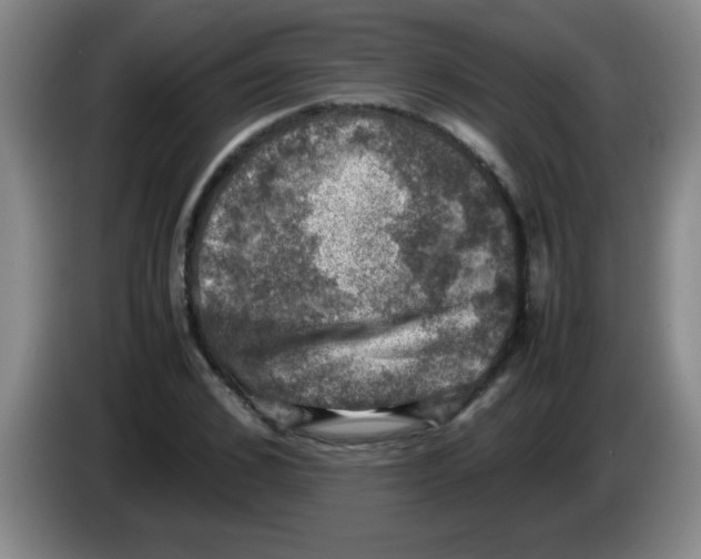 X0000083560976200703091613