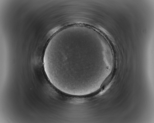 X0000083560977200703091613