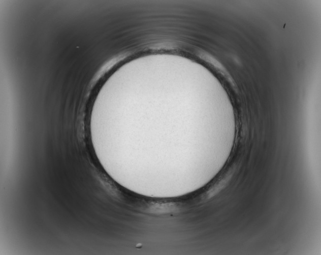 X0000083560978200703091613