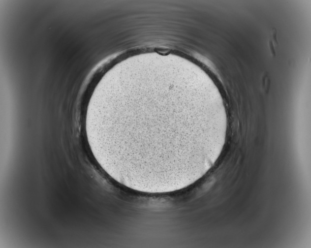 X0000083560979200703091613