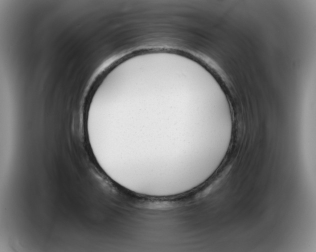 X0000083560982200703091613