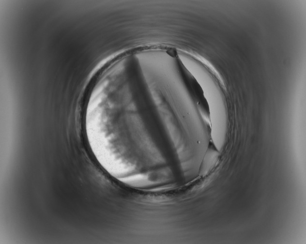 X0000083560983200703091613