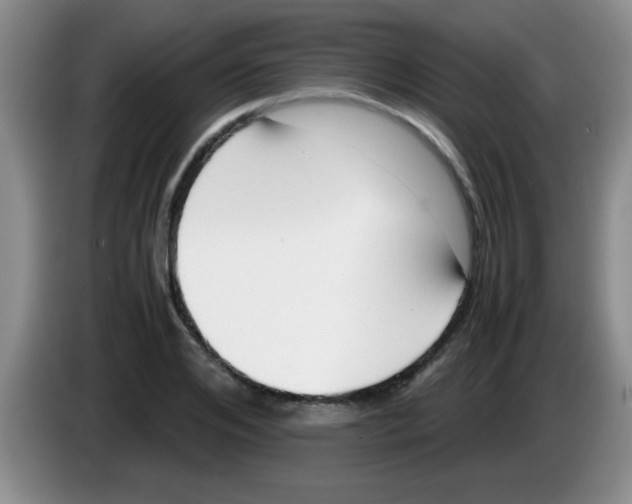 X0000083560984200703091613