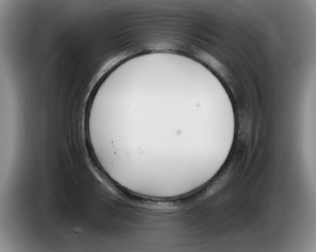 X0000083560986200703091612