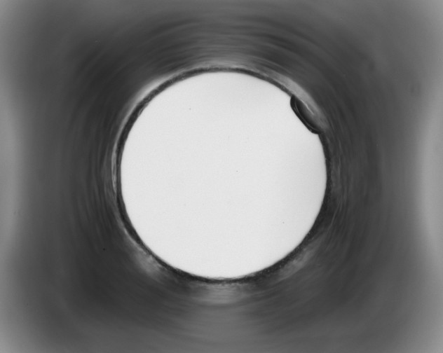 X0000083560988200703091612