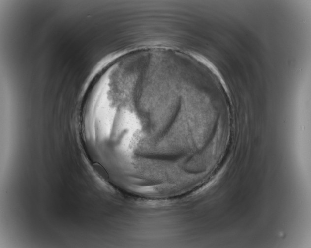 X0000083560989200703091612