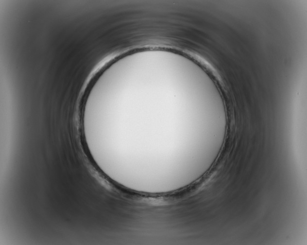 X0000083560990200703091612