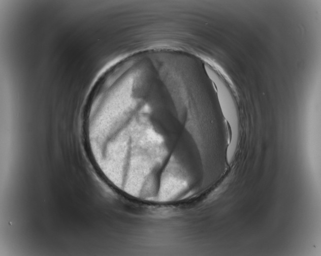 X0000083560991200703091612