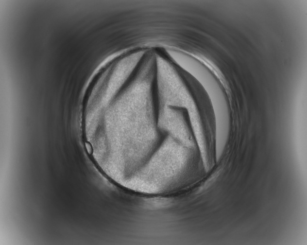 X0000083560992200703091612