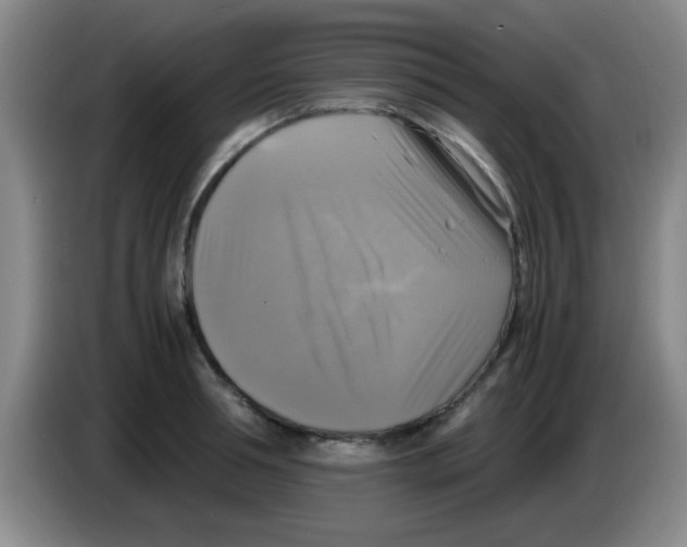 X0000083560994200703091612