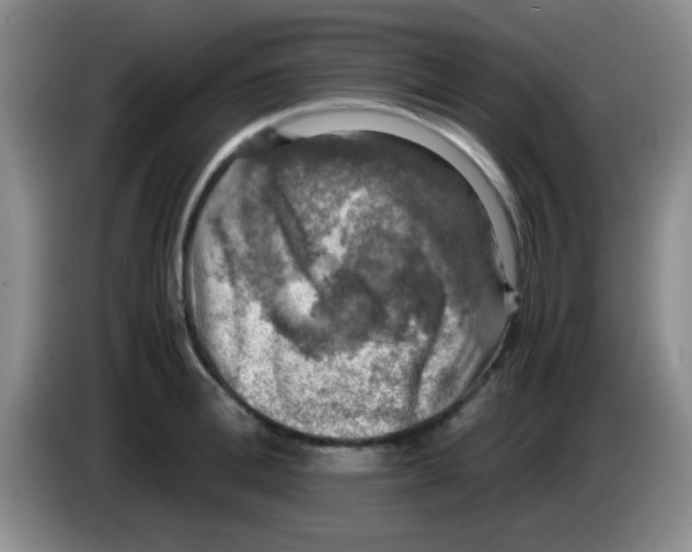 X0000083560996200703091612