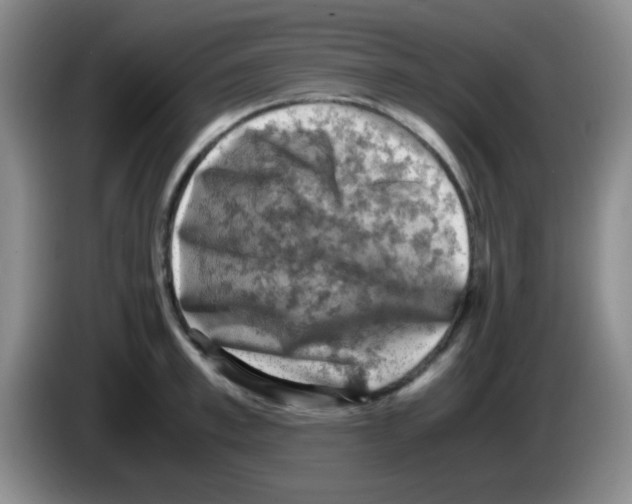 X0000083560997200703091612