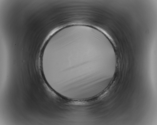 X0000083560998200703091612