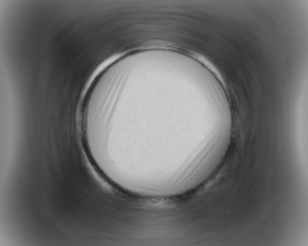 X0000083561003200703091612