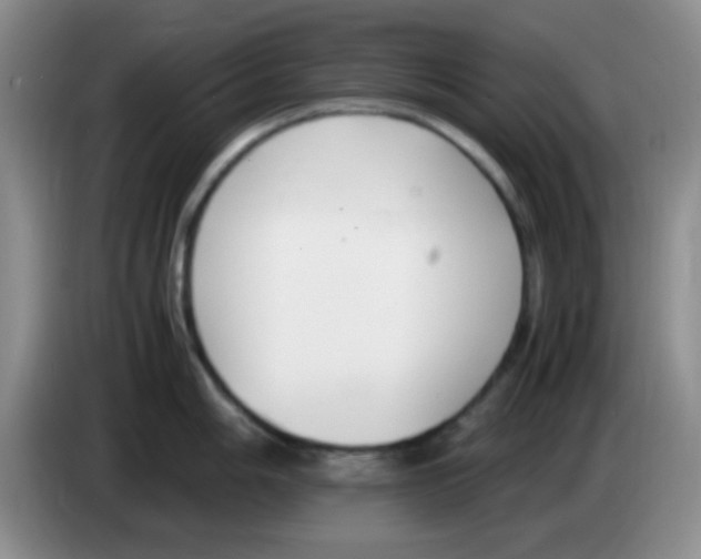 X0000083561006200703091612