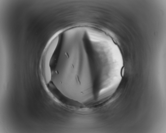 X0000083561007200703091612