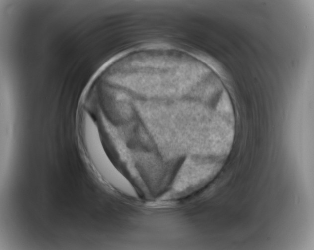 X0000083561008200703091612