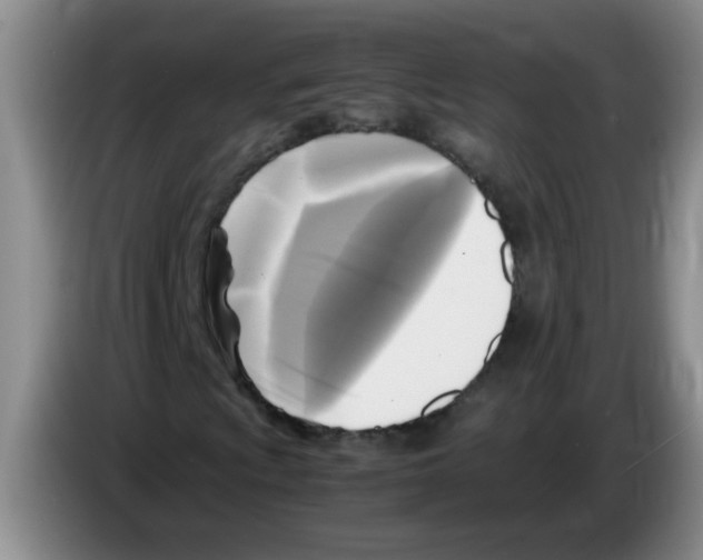 X0000083561009200703091612