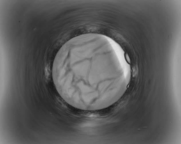 X0000083561011200703091612