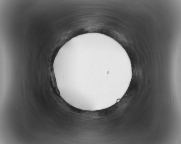 X0000083561012200703091612