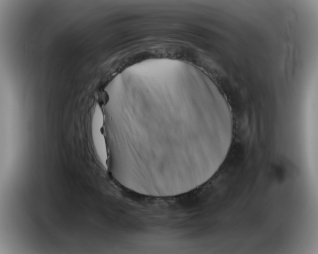 X0000083561013200703091612