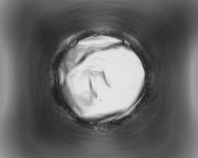 X0000083561016200703091612