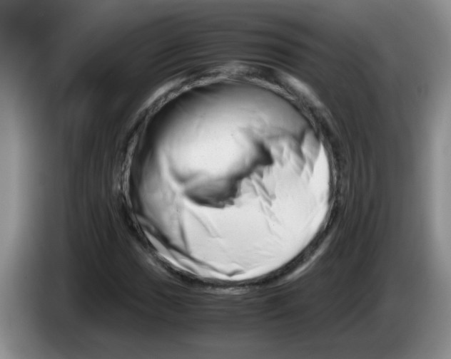 X0000083561017200703091612