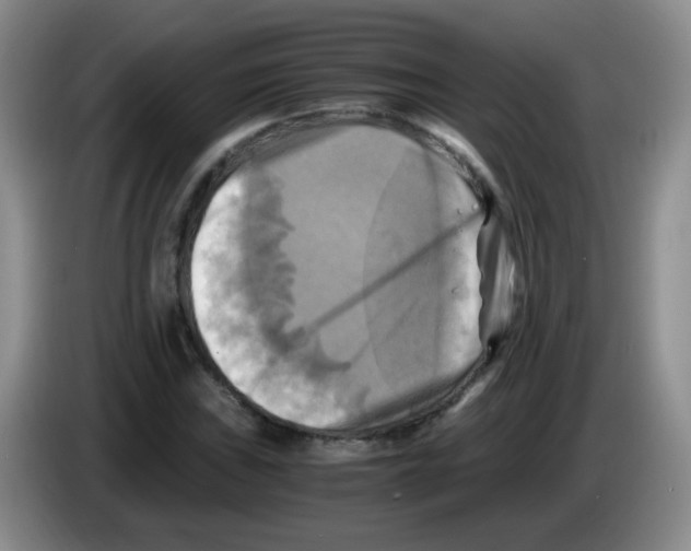 X0000083561019200703091612