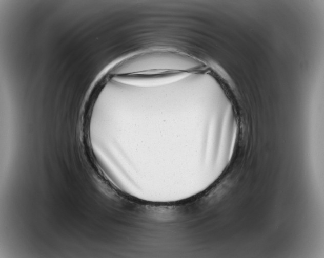 X0000083561020200703091612