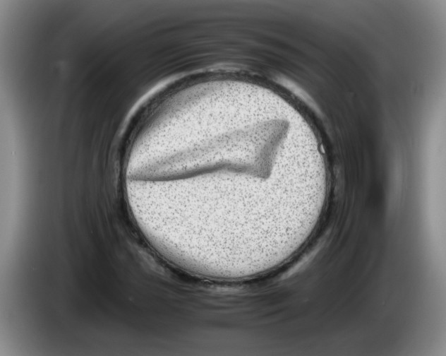 X0000083561021200703091612