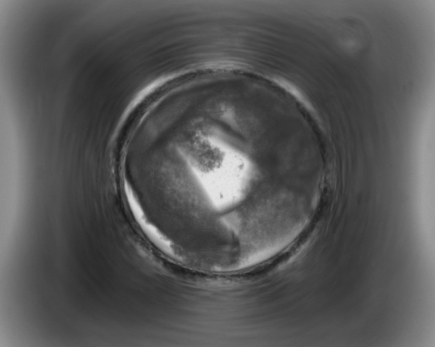 X0000083561022200703091612