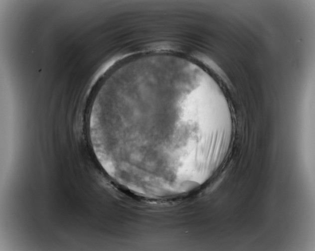 X0000083561023200703091612