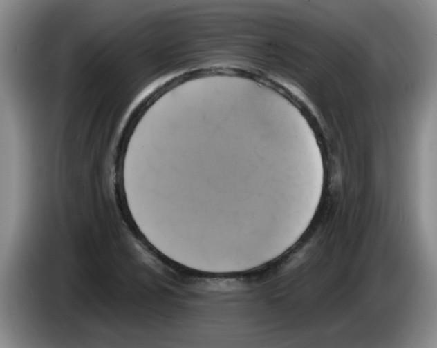 X0000083561024200703091612