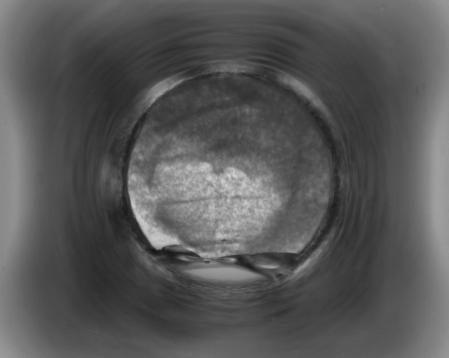 X0000083561025200703091612