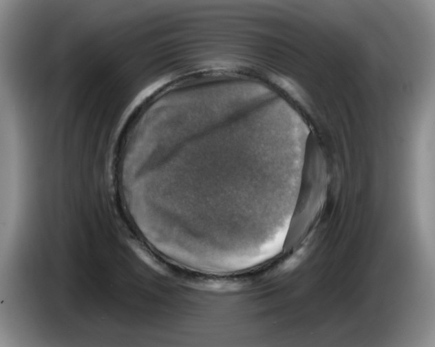 X0000083561026200703091612