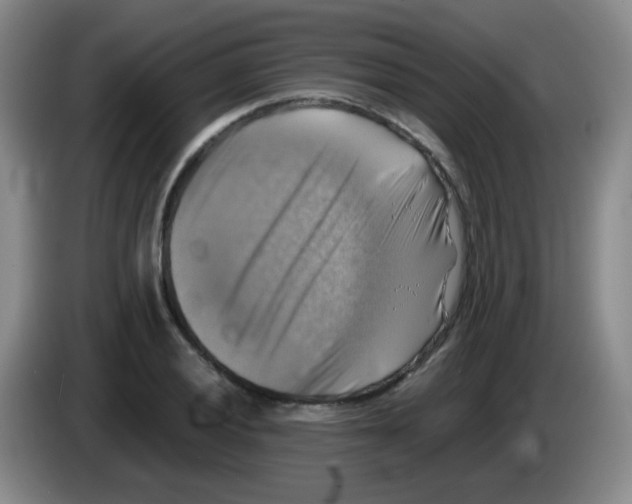 X0000083561028200703091612