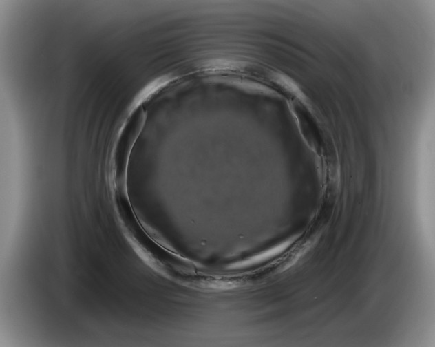 X0000083561034200703091612