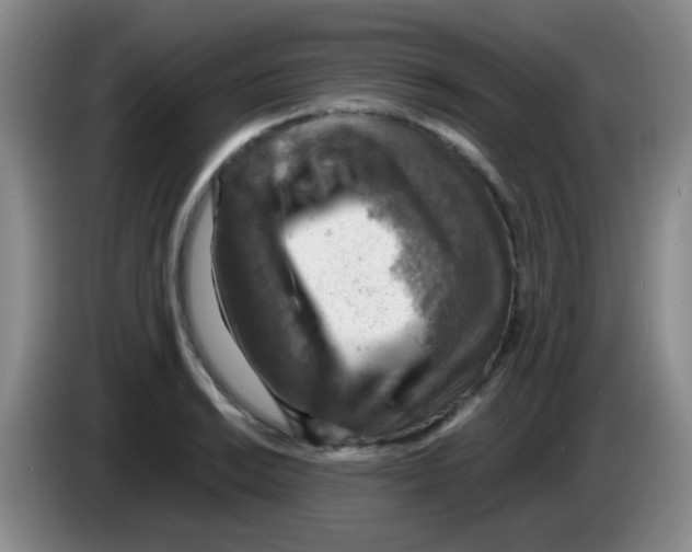 X0000083561038200703091612