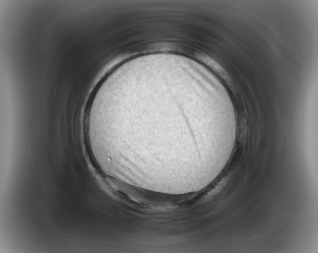 X0000083561039200703091612