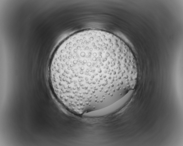 X0000083561040200703091612