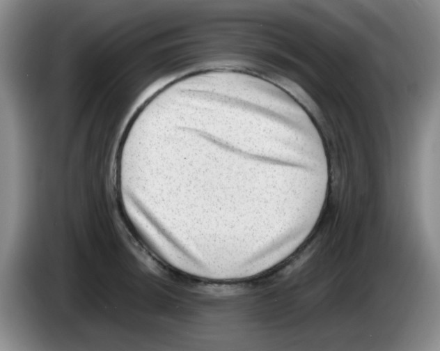 X0000083561044200703091612