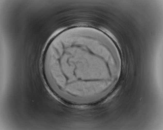 X0000083561045200703091612