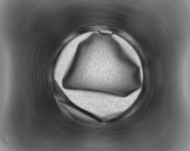 X0000083561049200703091612